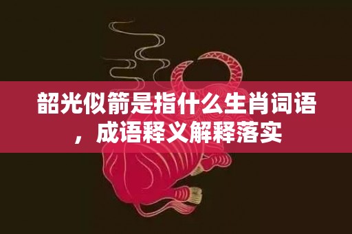 韶光似箭是指什么生肖词语，成语释义解释落实
