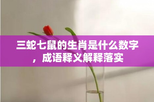 三蛇七鼠的生肖是什么数字，成语释义解释落实插图