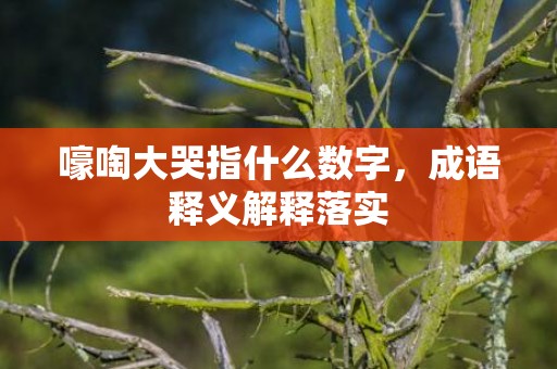嚎啕大哭指什么数字，成语释义解释落实