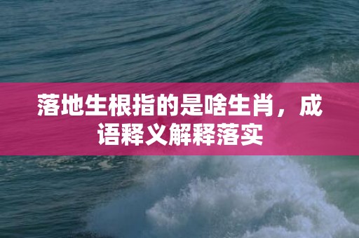 落地生根指的是啥生肖，成语释义解释落实插图