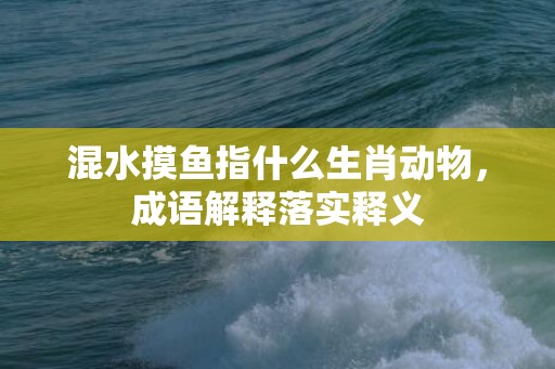 混水摸鱼指什么生肖动物，成语解释落实释义插图