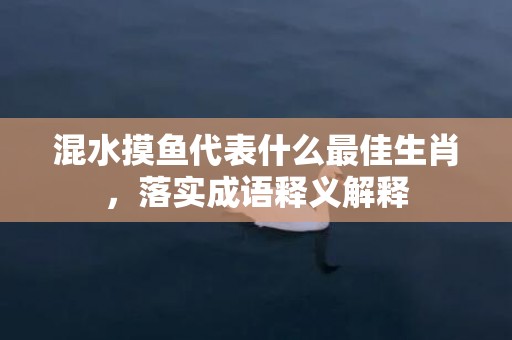 混水摸鱼代表什么最佳生肖，落实成语释义解释插图