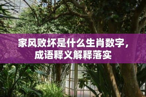 家风败坏是什么生肖数字，成语释义解释落实插图