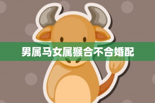 男属马女属猴合不合婚配