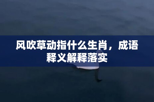 风吹草动指什么生肖，成语释义解释落实
