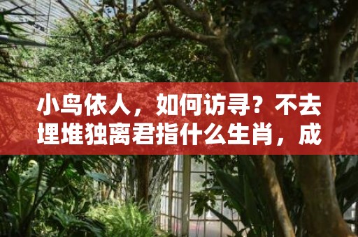 小鸟依人，如何访寻？不去埋堆独离君指什么生肖，成语释义解释落实插图