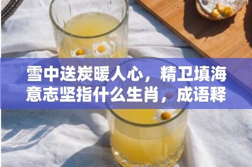 雪中送炭暖人心，精卫填海意志坚指什么生肖，成语释义解释落实