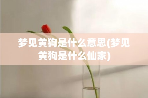 梦见黄狗是什么意思(梦见黄狗是什么仙家)