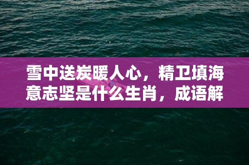 雪中送炭暖人心，精卫填海意志坚是什么生肖，成语解释落实释义插图