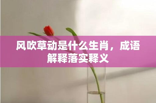 风吹草动是什么生肖，成语解释落实释义插图