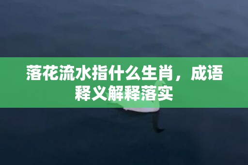 落花流水指什么生肖，成语释义解释落实插图