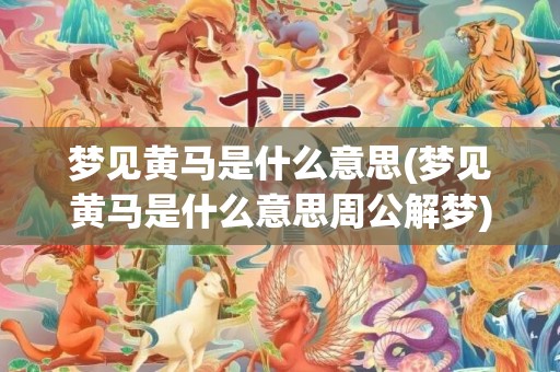 梦见黄马是什么意思(梦见黄马是什么意思周公解梦)