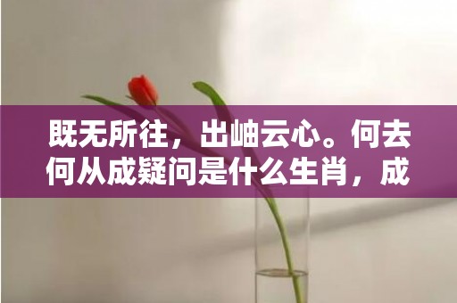 既无所往，出岫云心。何去何从成疑问是什么生肖，成语解释落实释义