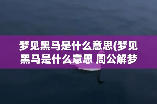 梦见黑马是什么意思(梦见黑马是什么意思 周公解梦)