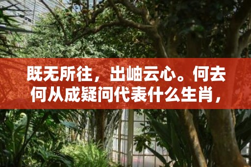 既无所往，出岫云心。何去何从成疑问代表什么生肖，词语落实释义解释插图
