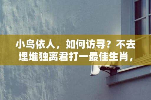小鸟依人，如何访寻？不去埋堆独离君打一最佳生肖，成语释义解释落实插图
