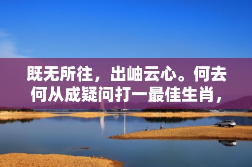 既无所往，出岫云心。何去何从成疑问打一最佳生肖，成语释义解释落实插图