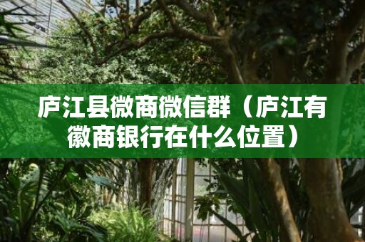 庐江县微商微信群（庐江有徽商银行在什么位置）