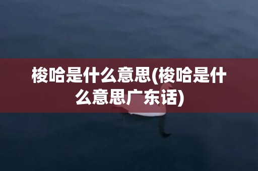 梭哈是什么意思(梭哈是什么意思广东话)