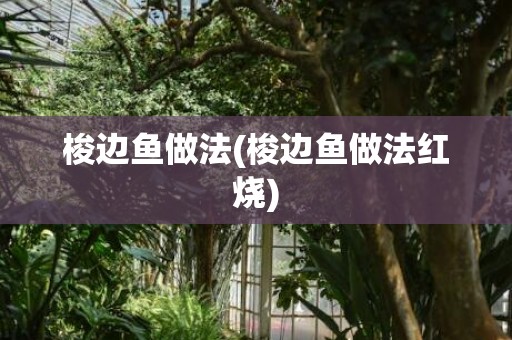 梭边鱼做法(梭边鱼做法红烧)