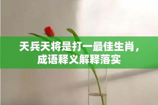 天兵天将是打一最佳生肖，成语释义解释落实插图