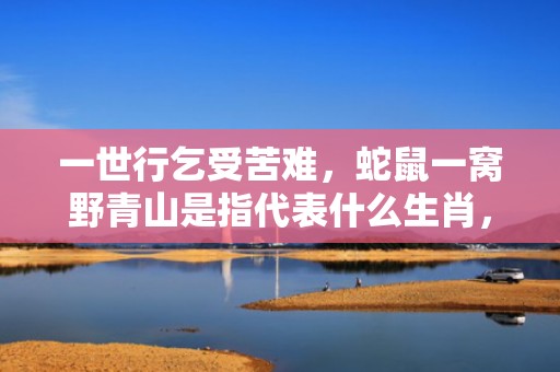 一世行乞受苦难，蛇鼠一窝野青山是指代表什么生肖，成语释义解释落实插图