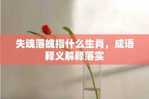 失魂落魄指什么生肖，成语释义解释落实