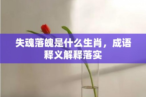 失魂落魄是什么生肖，成语释义解释落实
