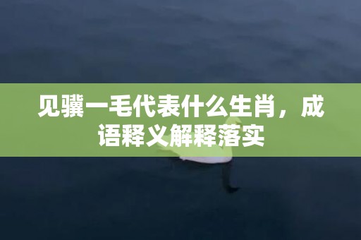 见骥一毛代表什么生肖，成语释义解释落实插图