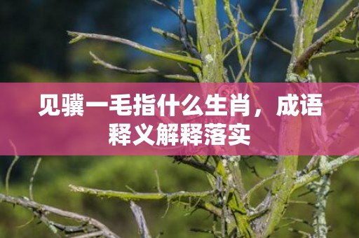 见骥一毛指什么生肖，成语释义解释落实插图