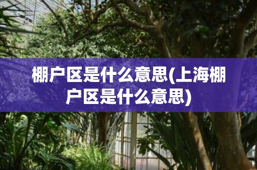 棚户区是什么意思(上海棚户区是什么意思)