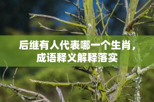 后继有人代表哪一个生肖，成语释义解释落实插图