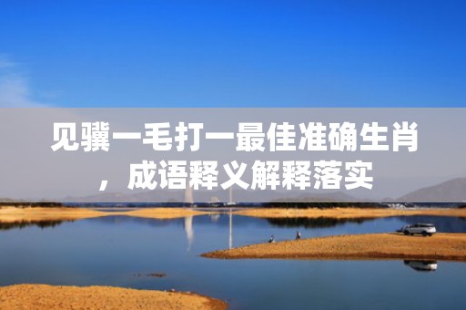 见骥一毛打一最佳准确生肖，成语释义解释落实插图