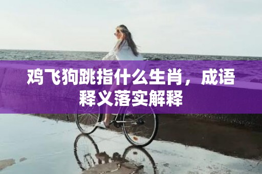 鸡飞狗跳指什么生肖，成语释义落实解释插图