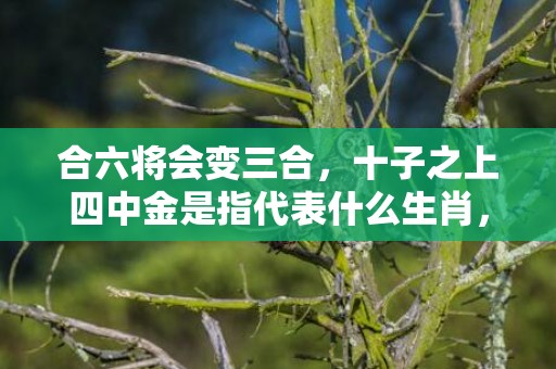 合六将会变三合，十子之上四中金是指代表什么生肖，打一最佳成语释义解释落实插图