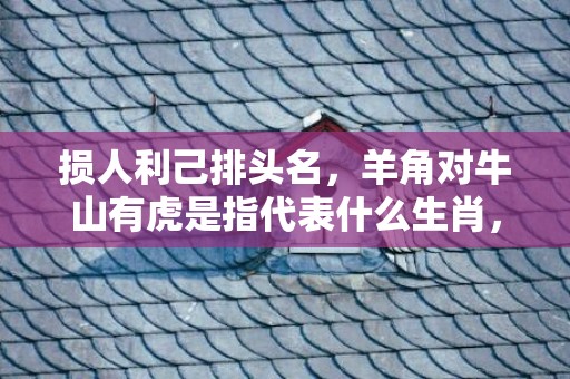 损人利己排头名，羊角对牛山有虎是指代表什么生肖，打一最佳成语释义解释落实插图