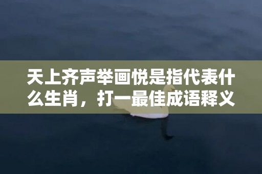 天上齐声举画悦是指代表什么生肖，打一最佳成语释义解释落实插图