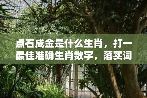 点石成金是什么生肖，打一最佳准确生肖数字，落实词语释义