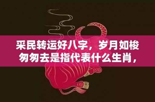 采民转运好八字，岁月如梭匆匆去是指代表什么生肖，打一最佳成语释义解释落实插图