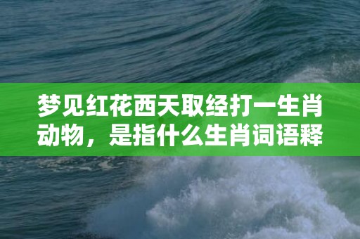 梦见红花西天取经打一生肖动物，是指什么生肖词语释义落实插图