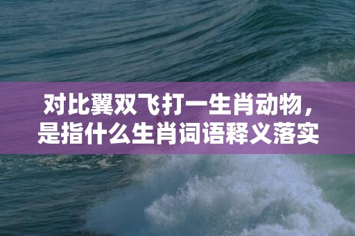 对比翼双飞打一生肖动物，是指什么生肖词语释义落实插图
