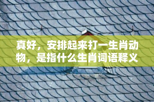 真好，安排起来打一生肖动物，是指什么生肖词语释义落实插图