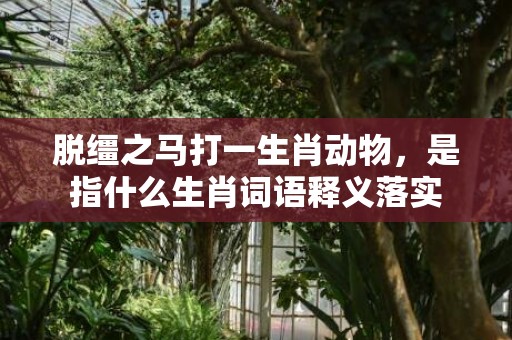 脱缰之马打一生肖动物，是指什么生肖词语释义落实插图