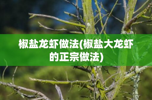 椒盐龙虾做法(椒盐大龙虾的正宗做法)