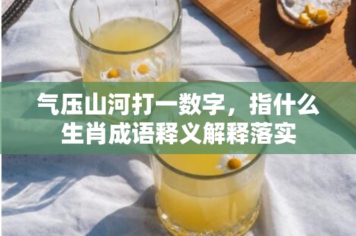 气压山河打一数字，指什么生肖成语释义解释落实
