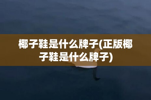 椰子鞋是什么牌子(正版椰子鞋是什么牌子)