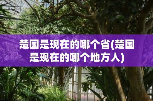 楚国是现在的哪个省(楚国是现在的哪个地方人)