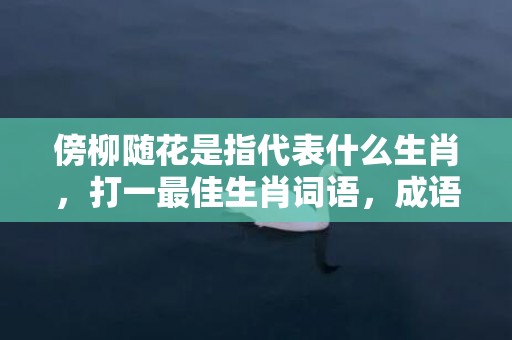 傍柳随花是指代表什么生肖，打一最佳生肖词语，成语释义解释落实插图