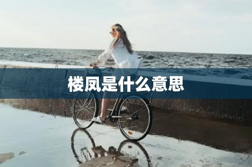 楼凤是什么意思