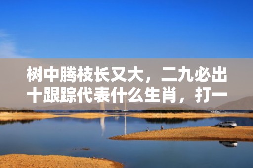 树中腾枝长又大，二九必出十跟踪代表什么生肖，打一最佳准确生肖词语释义落实解释